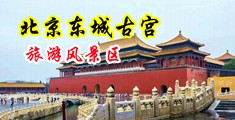 美女被操逼巴中国北京-东城古宫旅游风景区
